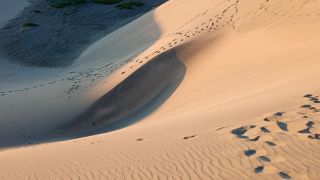 GC-Dunas de Maspalomas sunset 2026-126.jpg